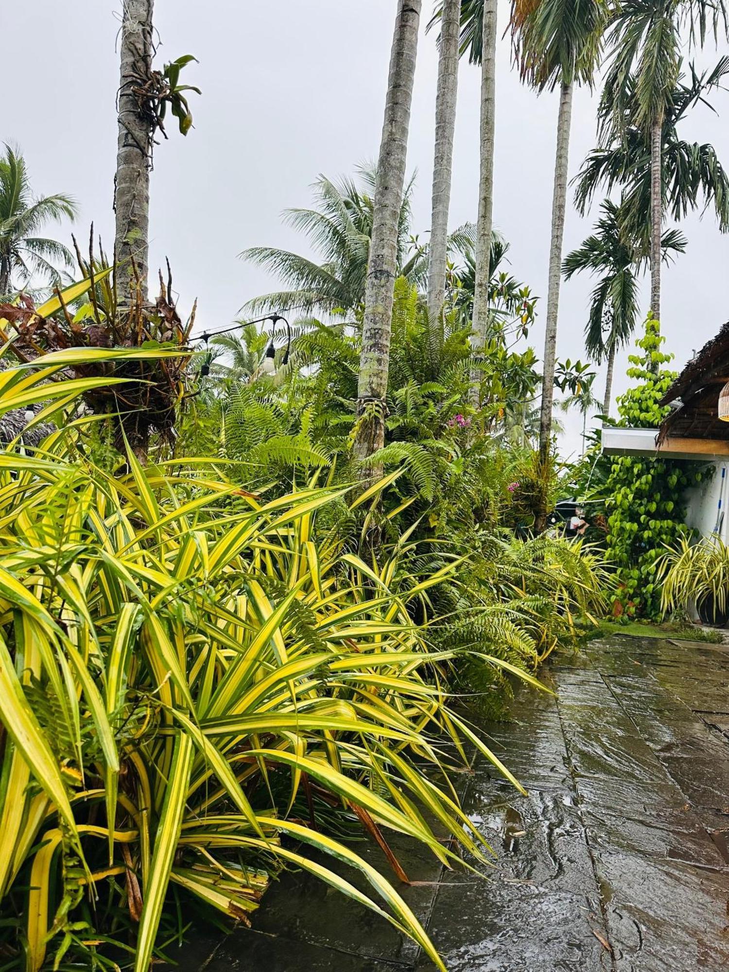 Water Palm Residence Hieu Nhon Bagian luar foto