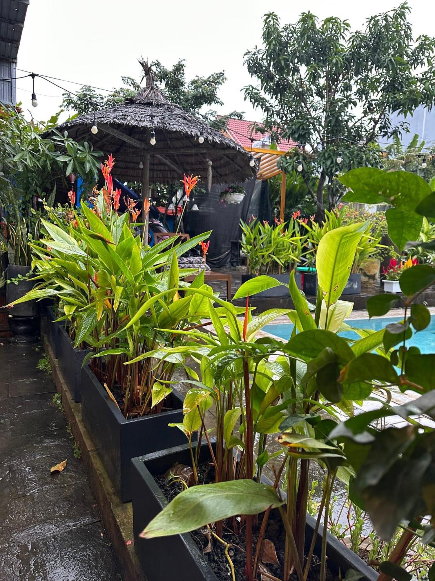 Water Palm Residence Hieu Nhon Bagian luar foto